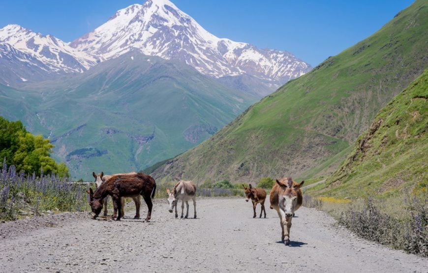 Group Tour to Kazbegi Mountains from Tbilisi
